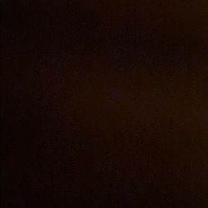 Meet your Posher, Lidia